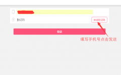 昊海拼團短信接口替換