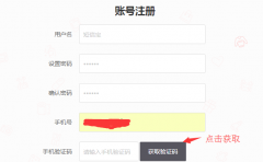 DsMallB2B商城系統(tǒng)短信接口替換